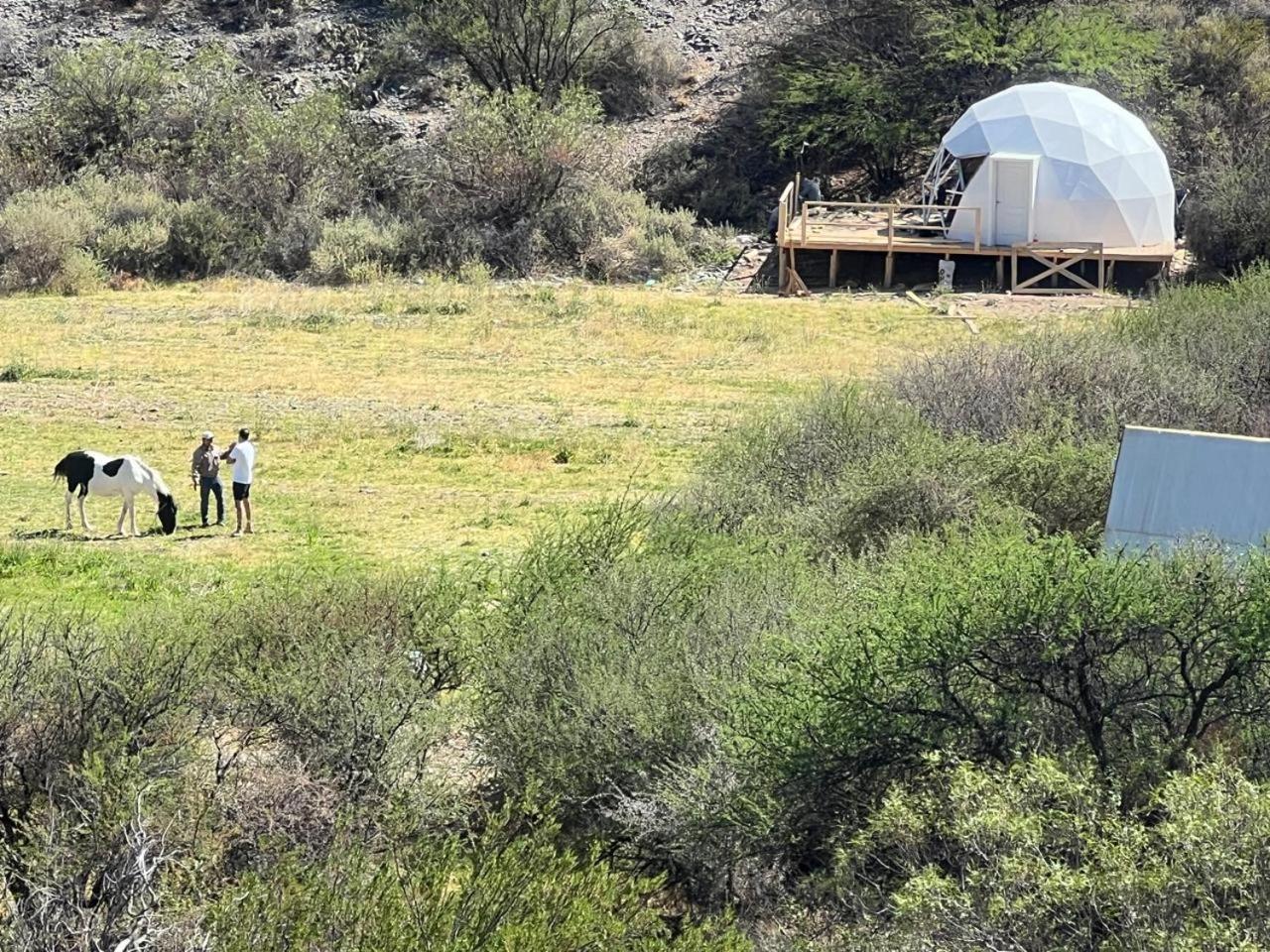 Glamping Cachi El Paraiso De Nala Eksteriør bilde